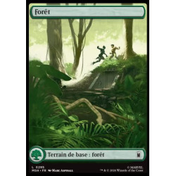 (Foil) Terrain - Forêt (V1, Full Art - City Chaos) (L) [MSH]