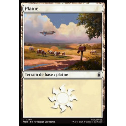 (Foil) Terrain - Plaine (V4) (L) [MSH]