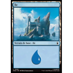 (Foil) Terrain - Île (V4) (L) [MSH]