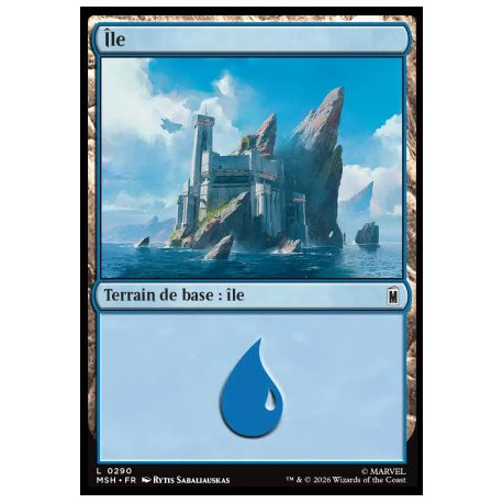 (Foil) Terrain - Île (V4) (L) [MSH]