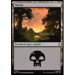 (Foil) Terrain - Marais (V3) (L) [MSH]