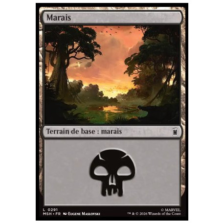 (Foil) Terrain - Marais (V3) (L) [MSH]
