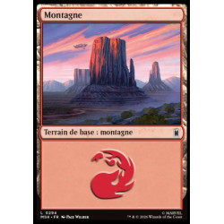 (Foil) Terrain - Montagne (V4) (L) [MSH]