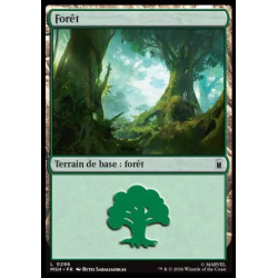 (Foil) Terrain - Forêt (V4) (L) [MSH]