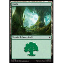 (Foil) Terrain - Forêt (V4) (L) [MSH]