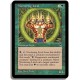 Verte - Litique nourricier (U)