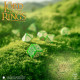Le Seigneur des Anneaux – Set de Dés La Comté (The Shire)
