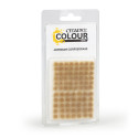 Touffes Mordian Corpsegrass - Warhammer Colour