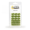 Touffes Verdia Veldt - Warhammer Colour