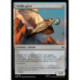 (Foil) Incolore - Vieille grive (C) [HOB]