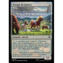 (Foil) Incolore - Troupe de poneys (V1) (U) [HOB]