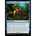 (Foil) Bleue - Découverte fatidique (V1) (M) [HOB]