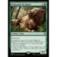 (Foil) Verte - Warg paré de bijoux (R) [HOB]