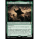 (Foil) Verte - Beorn le farouche (V1) (M) [HOB]