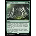 (Foil) Verte - Entrée de la forêt (R) [HOB]