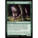 (Foil) Verte - Jeune warg (C) [HOB]