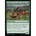 (Foil) Verte - Profiteur de la Contrée Sauvage (U) [HOB]