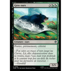 (Foil) Multicolore - Gros ours (U) [HOB]