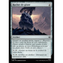 (Foil) Incolore - Rocher de géant (C) [HOB]