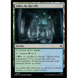 (Foil) Terrain - Salles du Roi elfe (C) [HOB]