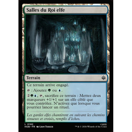 (Foil) Terrain - Salles du Roi elfe (C) [HOB]