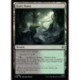 (Foil) Terrain - Forêt Noire (C) [HOB]