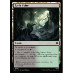 (Foil) Terrain - Forêt Noire (C) [HOB]