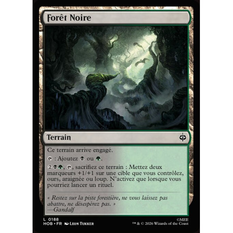 (Foil) Terrain - Forêt Noire (C) [HOB]