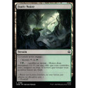 (Foil) Terrain - Forêt Noire (C) [HOB]