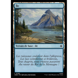 (Foil) Terrain - Île (V1) (L) [HOB]