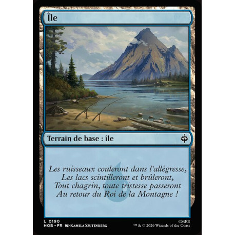 (Foil) Terrain - Île (V1) (L) [HOB]