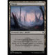 (Foil) Terrain - Marais (V1) (L) [HOB]