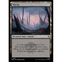 (Foil) Terrain - Marais (V1) (L) [HOB]