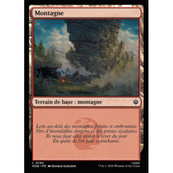 (Foil) Terrain - Montagne (V1) (L) [HOB]