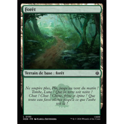 (Foil) Terrain - Forêt (V1) (L) [HOB]