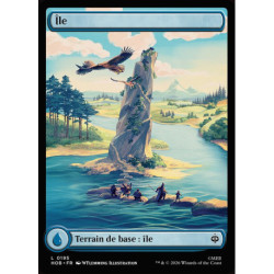 (Foil) Terrain - Île (V2) (L) [HOB]