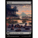 (Foil) Terrain - Marais (V2) (L) [HOB]