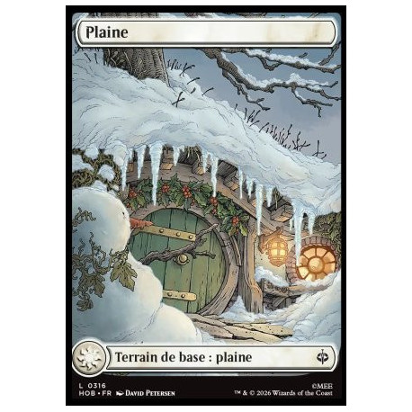 (Foil) Terrain - Plaine (V6, Seasonal Hobbit Basic Lands - Winter) (L) [HOB]