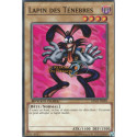 Lapin des Ténèbres (C) [DEM5]