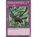Tempête d'Étaqua (C) [DEM5]