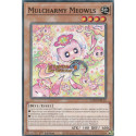 Mulcharmy Meowls (C) [LAVD]