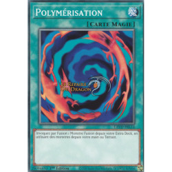 Polymérisation (C) [LAVD]