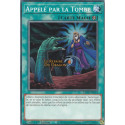 Appelé par la Tombe (C) [LAVD]
