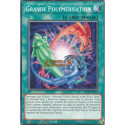 Grande Polymérisation (C) [LAVD]