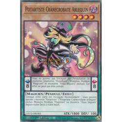 Potartiste Crânecrobate Arlequin (C) [LAVD]