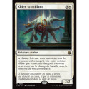 (Foil) Blanche - Chien scintillant (V1) (R) [FRA]