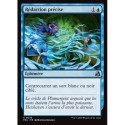 (Foil) Bleue - Rédaction précise (V1) (U) [FRA]