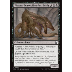 (Foil) Noire - Pisteur de sorcière du zénith (C) [FRA]