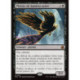 (Foil) Noire - Phénix de lumière noire (V1) (M) [FRA]