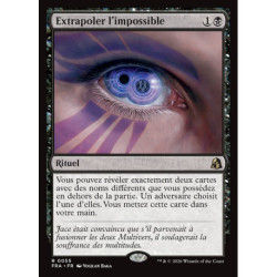(Foil) Noire - Extrapoler l'impossible (V1) (R) [FRA]